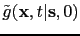 $ \tilde{g}({\bf {x}},t\vert{\bf {s}},0)$