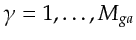 $ \gamma=1,\dots,M_{ga}$